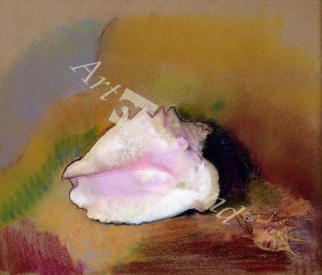 láminas y lienzos de  The Shell, 1912 (pastel on paper)