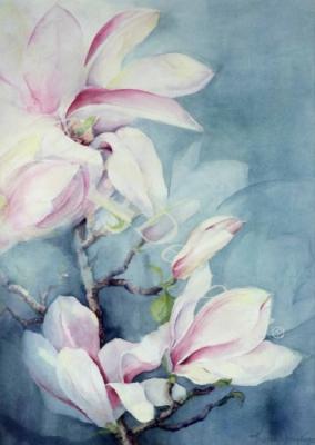 láminas y lienzos de Magnolia Soulangeana (vertical)