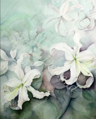 láminas y lienzos de Lilies, white Auratum