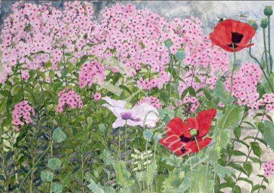 láminas y lienzos de Poppies and Phlox