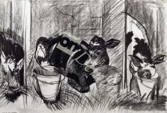 láminas y lienzos de Calves (charcoal on paper)