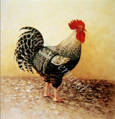 láminas y lienzos de Speckled Rooster (acrylic on canvas)