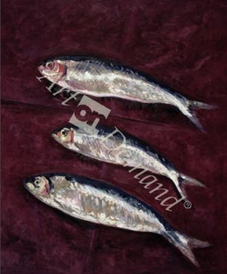 láminas y lienzos de Three Fish, 1997 (oil on board)