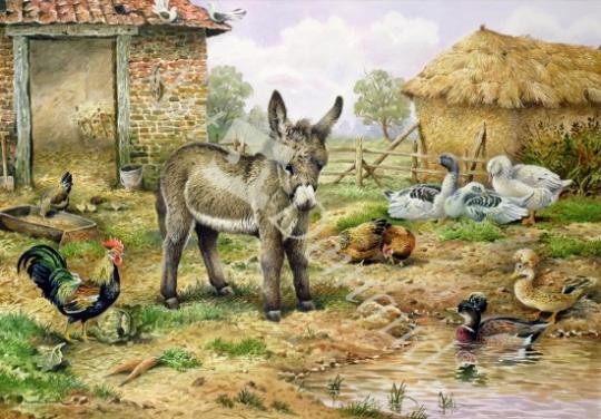 láminas y lienzos de Donkey and Farmyard Fowl