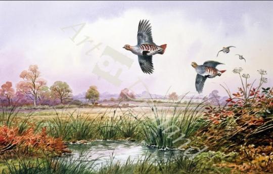 láminas y lienzos de Partridge in Flight