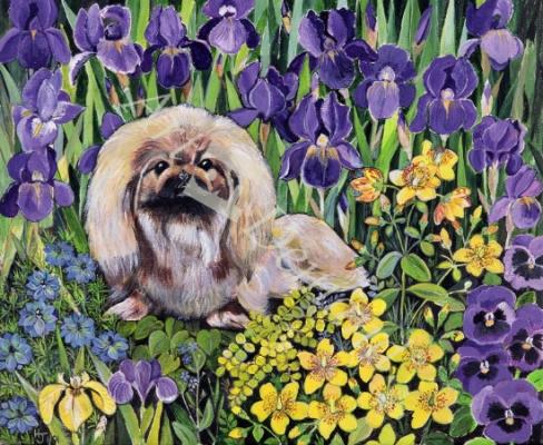 láminas y lienzos de Peke in the Flower Bed (acrylic on canvas)