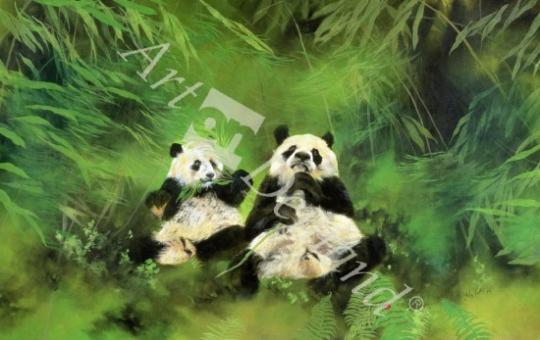 láminas y lienzos de Pandas, 1998 (acrylic and pencil on canvas)