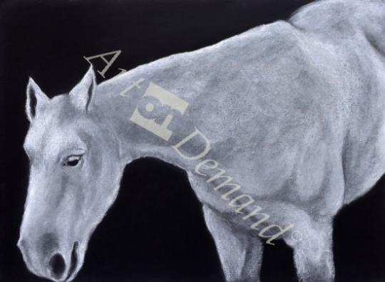 láminas y lienzos de  Ghost (pastel on paper)