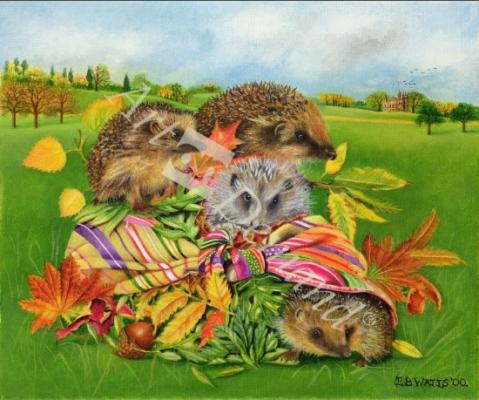 láminas y lienzos de  Hedgehogs Inside Scarf, 2000 (acrylic on canvas)