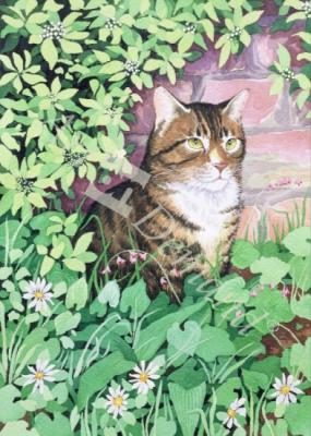 láminas y lienzos de  Jackie s Cat (garden design)