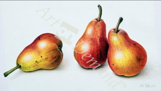 láminas y lienzos de  Red Pears, 1996 (w/c on paper)