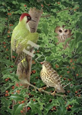 láminas y lienzos de  Woodpecker, Owl and Thrush (gouache on paper)