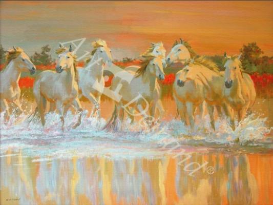 láminas y lienzos de  Camargue (oil on canvas)