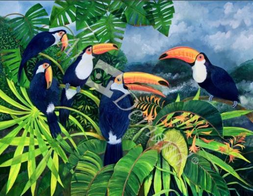 láminas y lienzos de  Toucan Talk (w/c and gouache on paper)