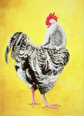 láminas y lienzos de  Maran Cockrel, 2000 (gouache on paper)