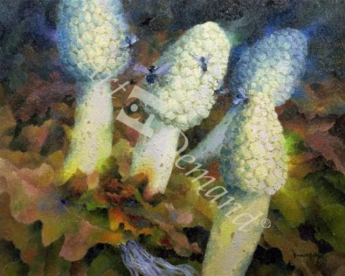 láminas y lienzos de  The Green Man with Fly Agaric, 1996 (oil on canvas)