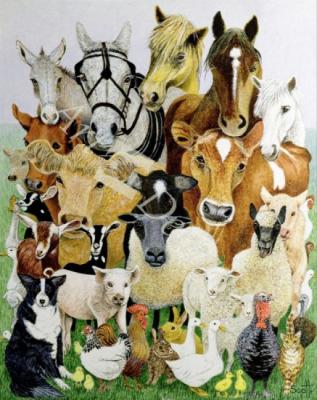 láminas y lienzos de  Animal Allsorts (oil on canvas)