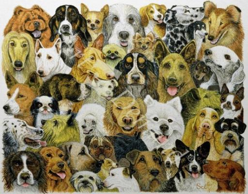 láminas y lienzos de  Dog Friends (oil on canvas)
