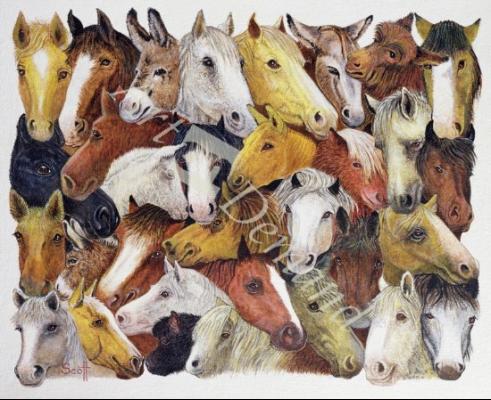 láminas y lienzos de  Horses Horses (oil on canvas)