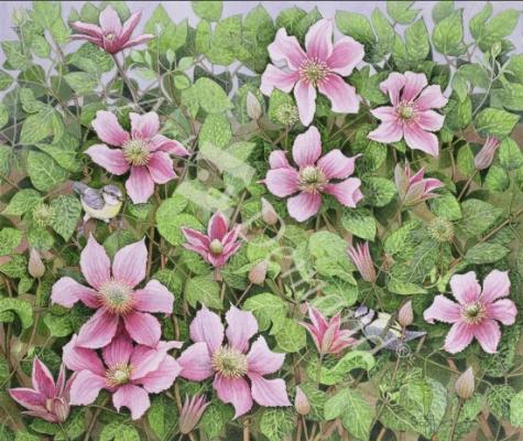láminas y lienzos de  Nesting in Clematis (oil on canvas)