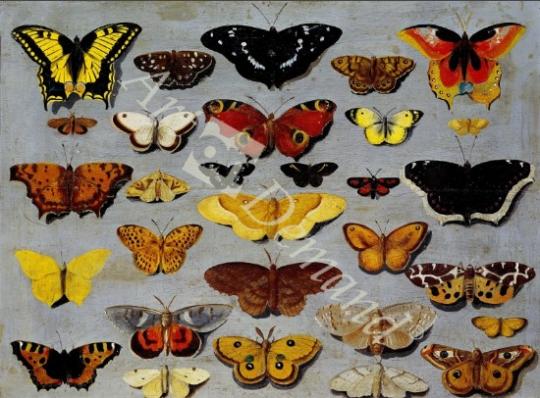 láminas y lienzos de  Butterflies (oil on canvas)