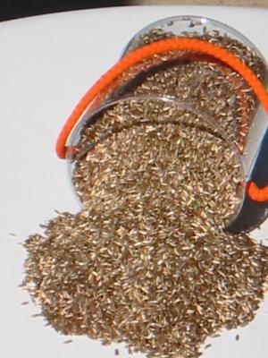 Arroz Oro