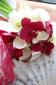 Calas y orquideas