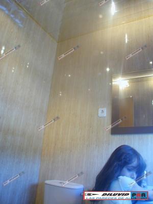 ASEO PARED
