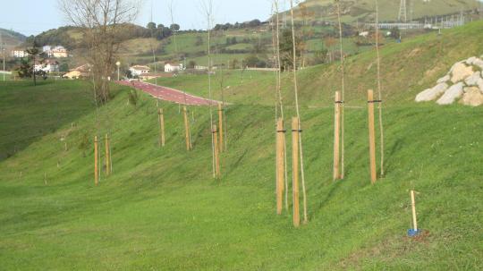 ZONAS VERDES
