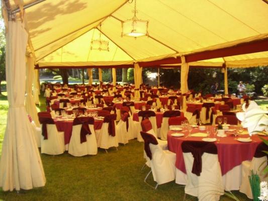 Carpa de carpas