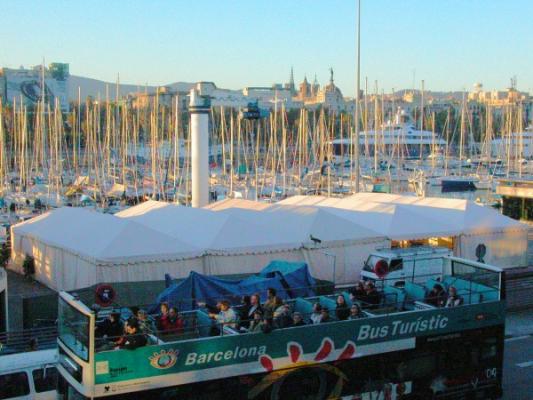 Carpa de carpas