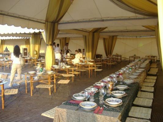 Carpa de carpas
