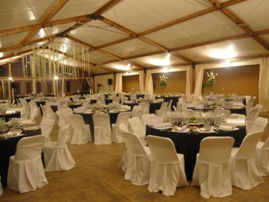 Carpa de carpas