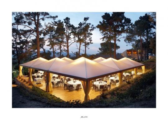 Carpa de carpas