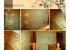arboles, flores, naturaleza pintada en la pared con decopared