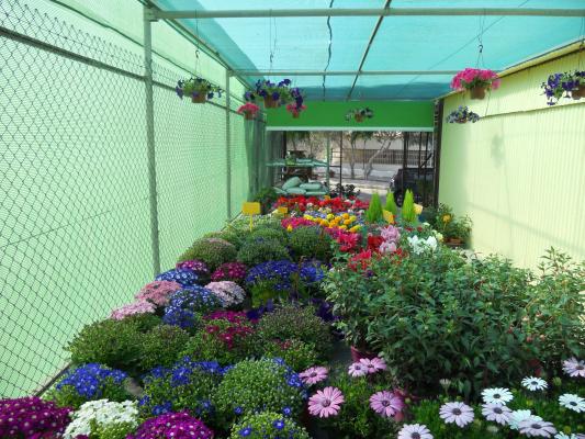 Vivero Cartagena