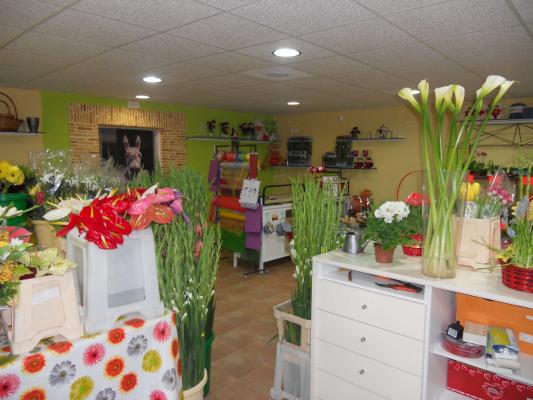 Floristería Cartagena