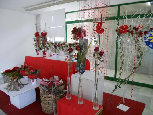 Rosas en Cartagena