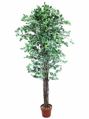 Arboles artificiales economicos. Arbol schefflera artificial bicolor oasis decor