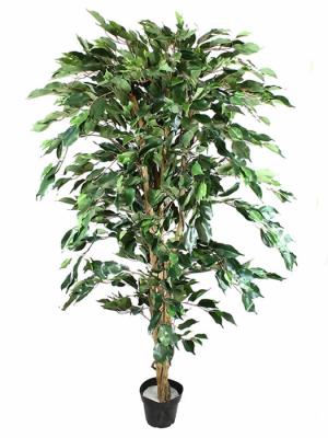 Ficus artificiales economicos. Ficus artificial verde 160 Oasis Decor