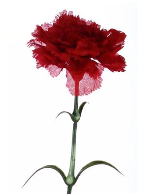 Claveles artificiales economicos. Clavel artificial rojo gama economica Oasis Decor