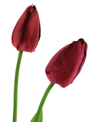 Tulipanes artificiales de calidad. Tulipan artificial dos flores rojo oasiseoc.com