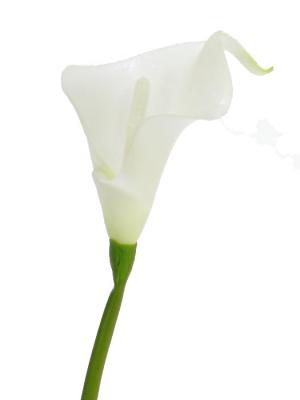 Flores artificiales. Cala artificial pequeña oasisdecor.com