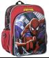 Bolsa Cole Spiderman