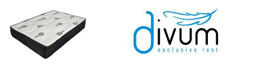 DIVUM