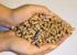 PELLET