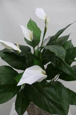 Plantas Artificiales 