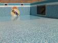 PISCINA CON VENTANA