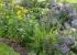 Jardines