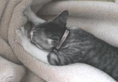 Dejarme Dormir 